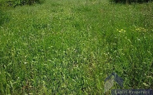 (For Sale) Land Plot || Athens South/Alimos - 402 Sq.m, 750.000€ 