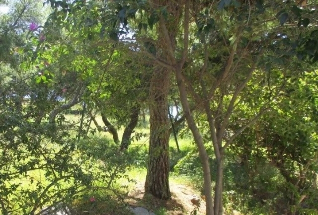 (For Sale) Land Plot || Athens South/Glyfada - 487 Sq.m, 460.000€ 
