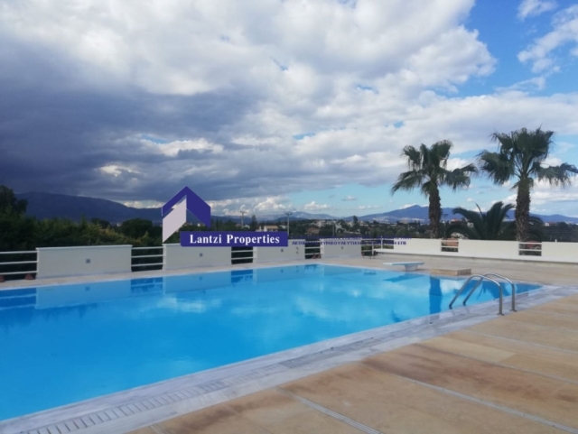 (For Rent) Residential Villa || East Attica/Markopoulo Mesogaias - 700 Sq.m, 5 Bedrooms, 10.000€ 