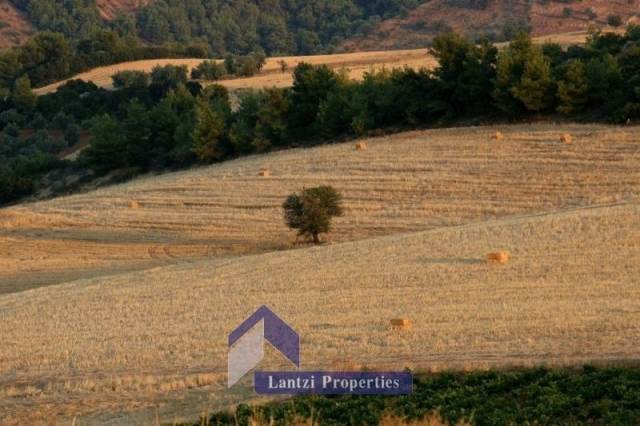 (For Sale) Land Plot || Fokida/Itea - 1.000 Sq.m, 160.000€ 