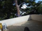 slide1 thumbnail