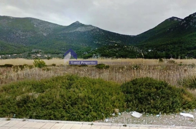 (Προς Πώληση) Αξιοποιήσιμη Γη Οικόπεδο || Δυτική Αττική/Βίλια - 1.600 τ.μ, 120.000€ 
