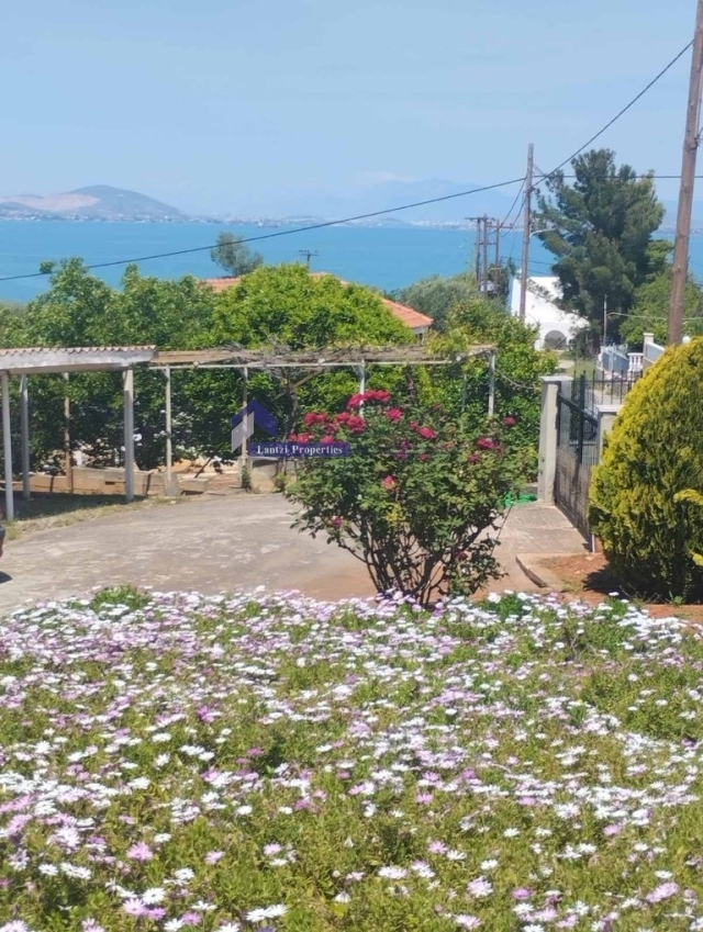 (Προς Πώληση) Κατοικία Μονοκατοικία || Ν. Βοιωτίας/Οινόφυτα - 230 τ.μ, 5 Υ/Δ, 380.000€ 