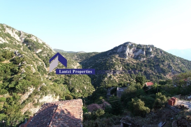 (Προς Πώληση) Κατοικία Μονοκατοικία || Ν. Αρκαδίας/Δημητσάνα - 360 τ.μ, 850.000€ 