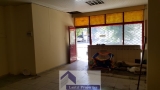 slide1 thumbnail
