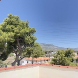 slide1 thumbnail