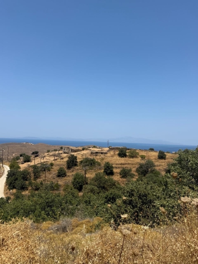 EXCEPTIONAL PLOT  4,005 sq.m. with 200 sq.m. Buildable Area in Tzia – Fotimari 