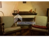slide1 thumbnail