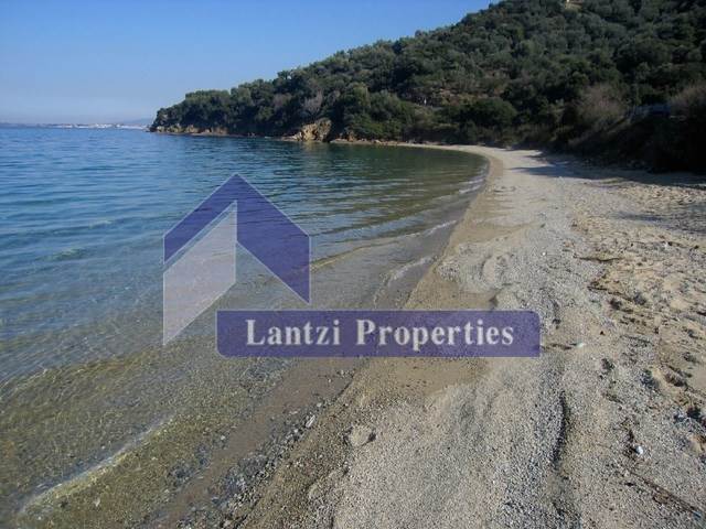 (Προς Πώληση) Λοιπά Ακίνητα Ξενοδοχείο || Ν. Εύβοιας/Αρτεμίσιο - 750 τ.μ, 700.000€ 
