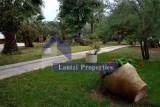 slide1 thumbnail