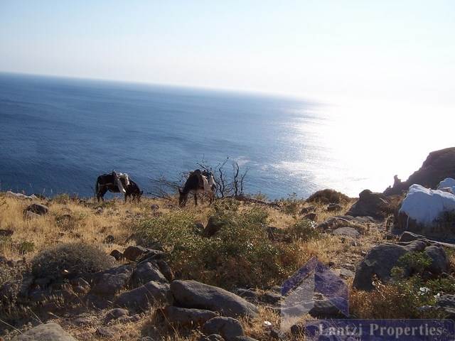 (Προς Πώληση) Αξιοποιήσιμη Γη Έκταση || Ν. Λέσβος/Μυτιλήνη - 785.000 τ.μ, 4.200.000€ 