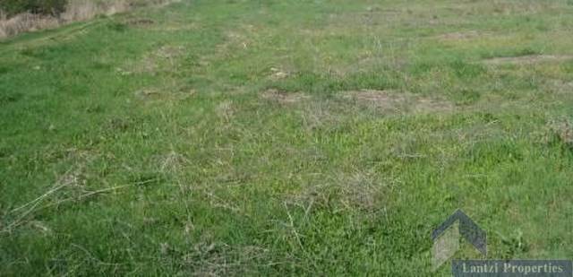 (Προς Πώληση) Αξιοποιήσιμη Γη Οικόπεδο || Κυκλάδες/Μύκονος - 7.005τ.μ, 875.000€ 