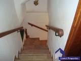 slide1 thumbnail