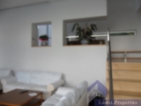 slide1 thumbnail