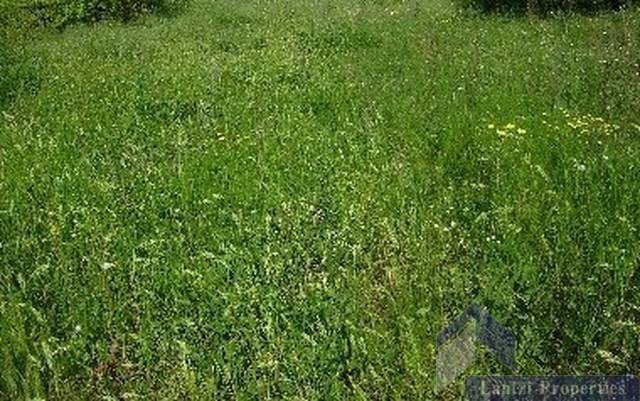 (Προς Πώληση) Αξιοποιήσιμη Γη Οικόπεδο || Ανατολική Αττική/Κορωπί  - 1.650 τ.μ, 250.000€ 