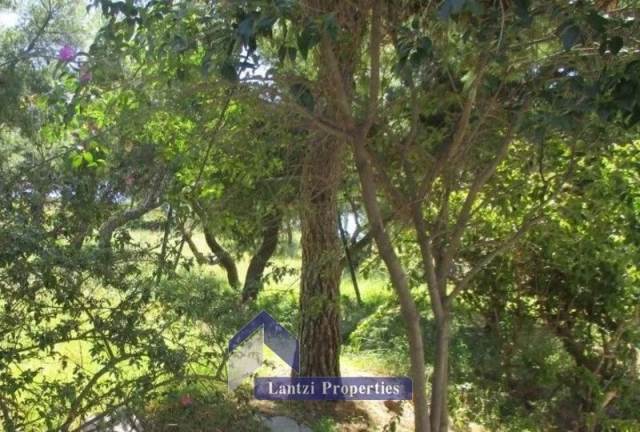 (For Sale) Land Plot || East Attica/Vari-Varkiza - 750 Sq.m, 550.000€ 
